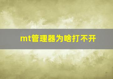 mt管理器为啥打不开