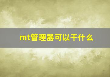 mt管理器可以干什么