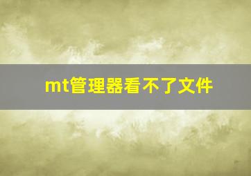 mt管理器看不了文件