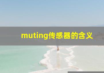 muting传感器的含义