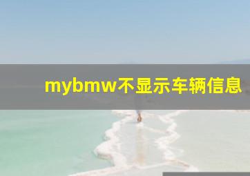 mybmw不显示车辆信息