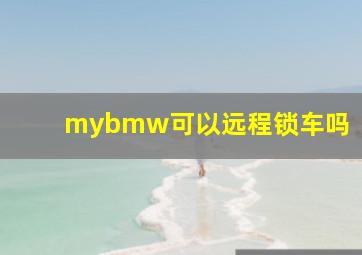 mybmw可以远程锁车吗