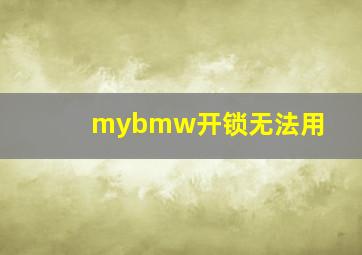 mybmw开锁无法用