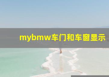 mybmw车门和车窗显示