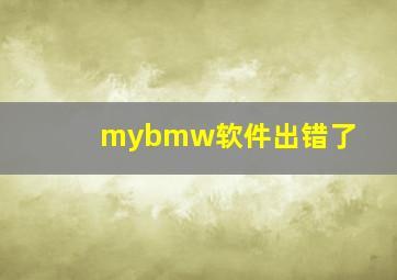 mybmw软件出错了