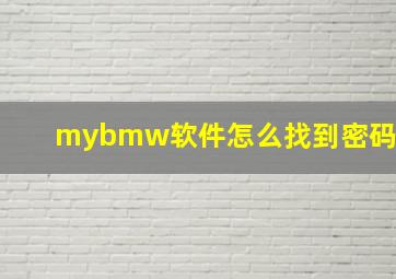 mybmw软件怎么找到密码