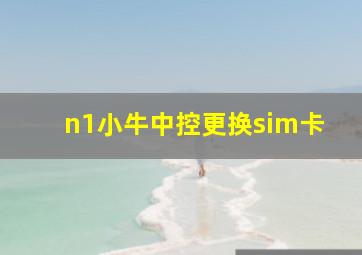 n1小牛中控更换sim卡