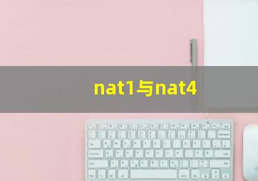 nat1与nat4