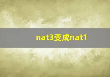 nat3变成nat1