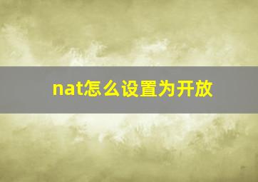 nat怎么设置为开放