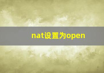 nat设置为open