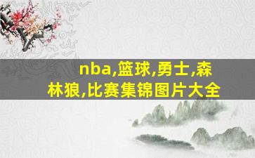 nba,篮球,勇士,森林狼,比赛集锦图片大全