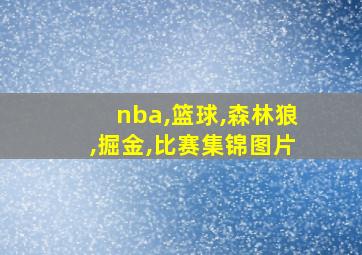 nba,篮球,森林狼,掘金,比赛集锦图片