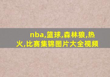 nba,篮球,森林狼,热火,比赛集锦图片大全视频