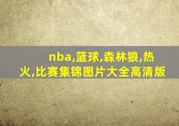 nba,篮球,森林狼,热火,比赛集锦图片大全高清版