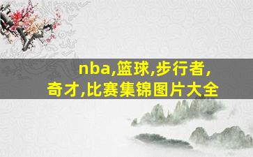 nba,篮球,步行者,奇才,比赛集锦图片大全