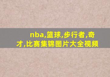 nba,篮球,步行者,奇才,比赛集锦图片大全视频