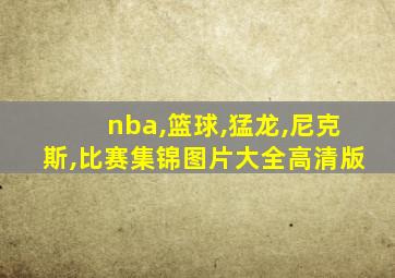 nba,篮球,猛龙,尼克斯,比赛集锦图片大全高清版