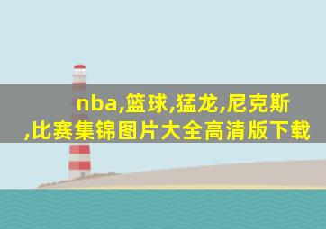 nba,篮球,猛龙,尼克斯,比赛集锦图片大全高清版下载