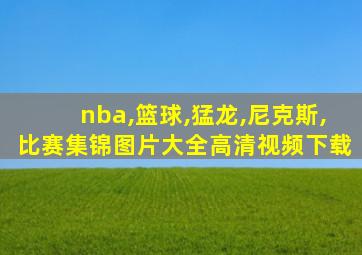 nba,篮球,猛龙,尼克斯,比赛集锦图片大全高清视频下载