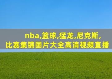 nba,篮球,猛龙,尼克斯,比赛集锦图片大全高清视频直播