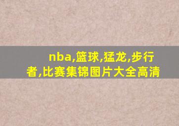 nba,篮球,猛龙,步行者,比赛集锦图片大全高清