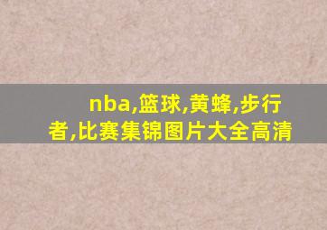 nba,篮球,黄蜂,步行者,比赛集锦图片大全高清