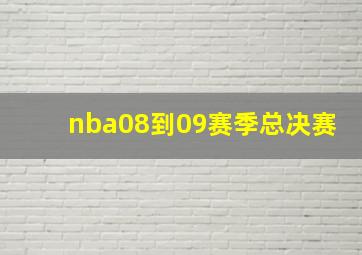 nba08到09赛季总决赛