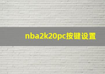 nba2k20pc按键设置