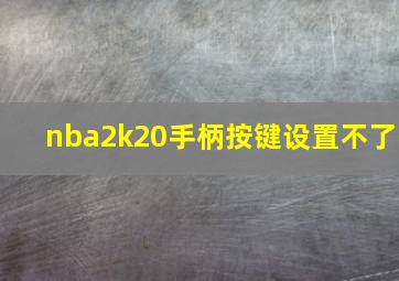 nba2k20手柄按键设置不了