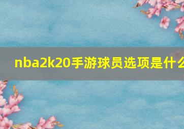 nba2k20手游球员选项是什么