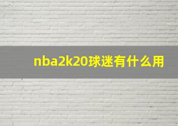 nba2k20球迷有什么用