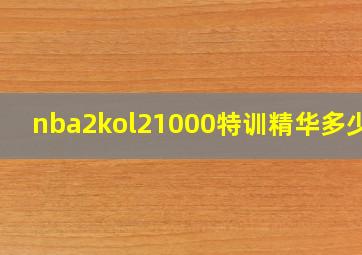 nba2kol21000特训精华多少钱