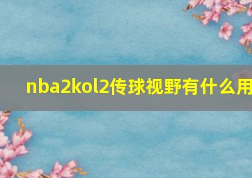 nba2kol2传球视野有什么用