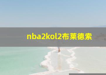 nba2kol2布莱德索