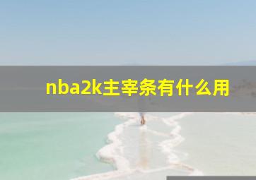 nba2k主宰条有什么用