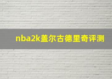 nba2k盖尔古德里奇评测