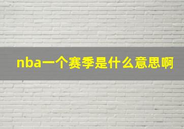 nba一个赛季是什么意思啊