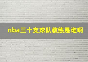 nba三十支球队教练是谁啊