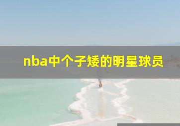 nba中个子矮的明星球员