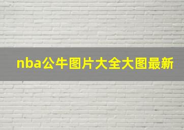 nba公牛图片大全大图最新