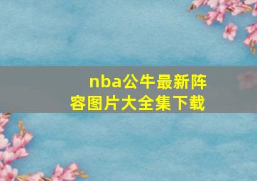 nba公牛最新阵容图片大全集下载