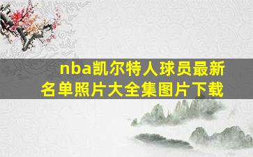 nba凯尔特人球员最新名单照片大全集图片下载