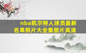 nba凯尔特人球员最新名单照片大全集图片高清