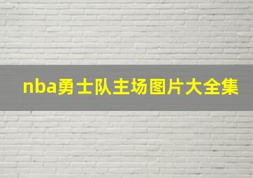 nba勇士队主场图片大全集