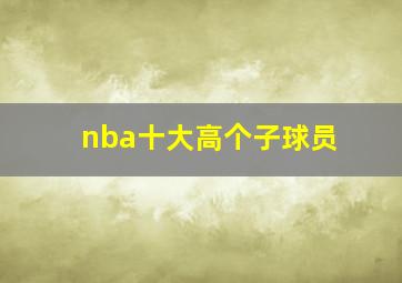 nba十大高个子球员