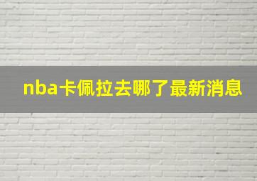 nba卡佩拉去哪了最新消息