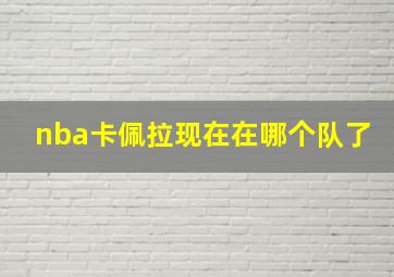 nba卡佩拉现在在哪个队了