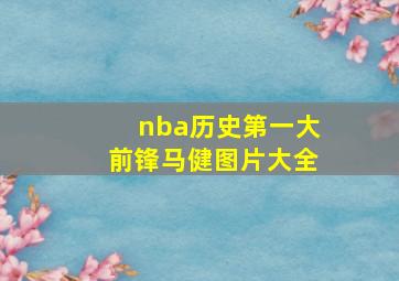 nba历史第一大前锋马健图片大全