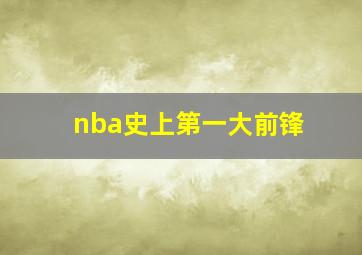 nba史上第一大前锋